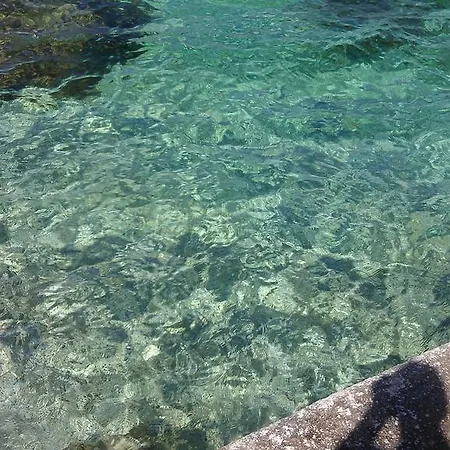 Vlacor *